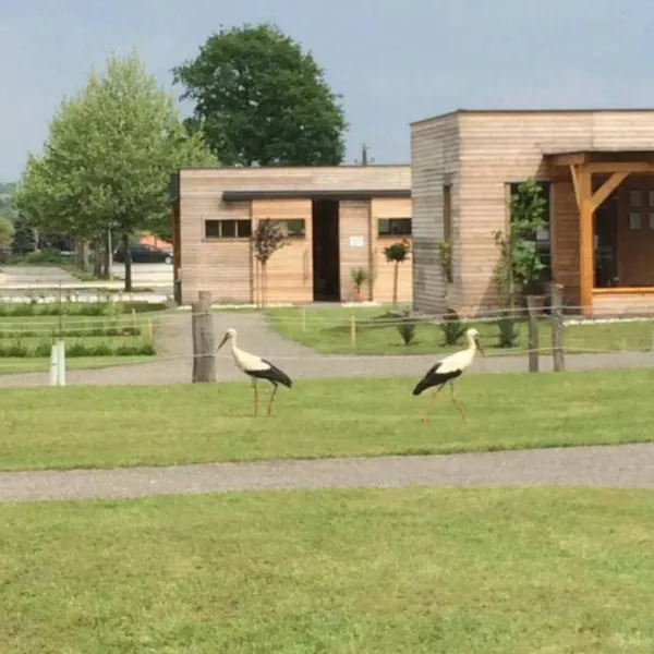 olspur-camping-eibiswald-2waro