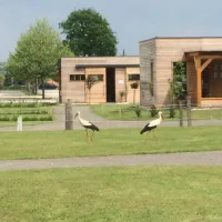 olspur-camping-eibiswald-2waro