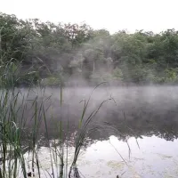 lazy-day-campground-montgomery-city-extow