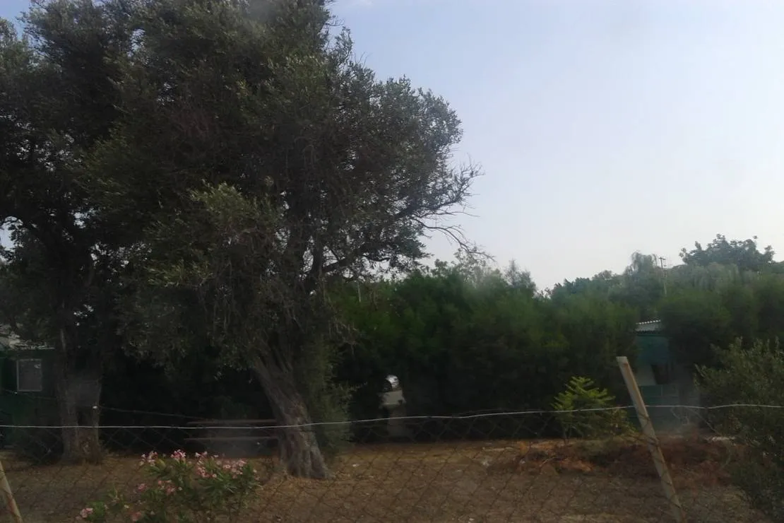 governors-kalymnos-beach-camping-lemesos-5tzmy