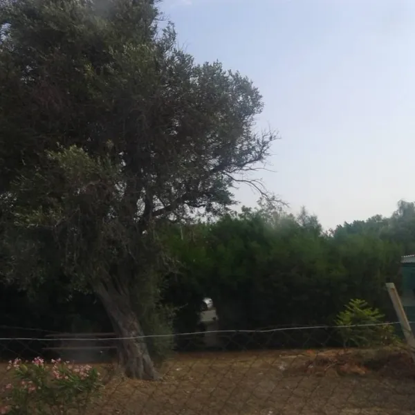 governors-kalymnos-beach-camping-lemesos-5tzmy