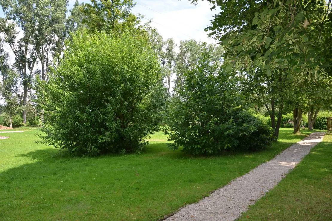 natur-und-freizeiterlebnis-teichcamp-grosshartmannsdorf-0vqfi