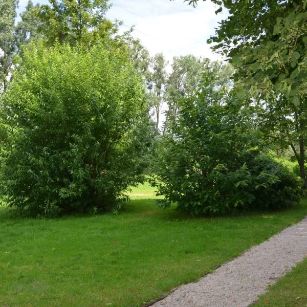 natur-und-freizeiterlebnis-teichcamp-grosshartmannsdorf-0vqfi