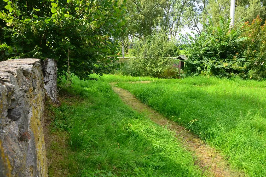 natur-und-freizeiterlebnis-teichcamp-grosshartmannsdorf-bju9p