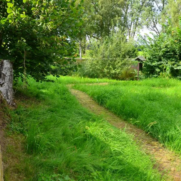 natur-und-freizeiterlebnis-teichcamp-grosshartmannsdorf-bju9p