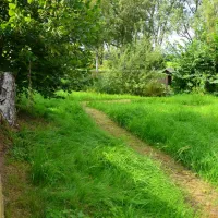 natur-und-freizeiterlebnis-teichcamp-grosshartmannsdorf-bju9p