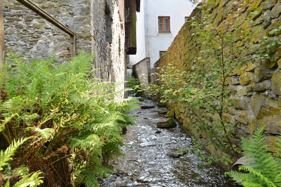 natur-und-freizeiterlebnis-teichcamp-grosshartmannsdorf-xony8