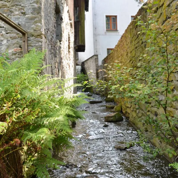 natur-und-freizeiterlebnis-teichcamp-grosshartmannsdorf-xony8