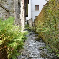 natur-und-freizeiterlebnis-teichcamp-grosshartmannsdorf-xony8
