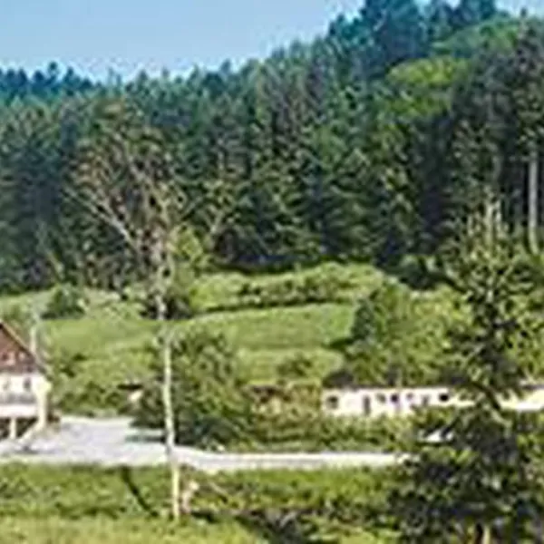 schwarzwald-camping-fautsburg-bad-wildbad-kalbermuhle-becta