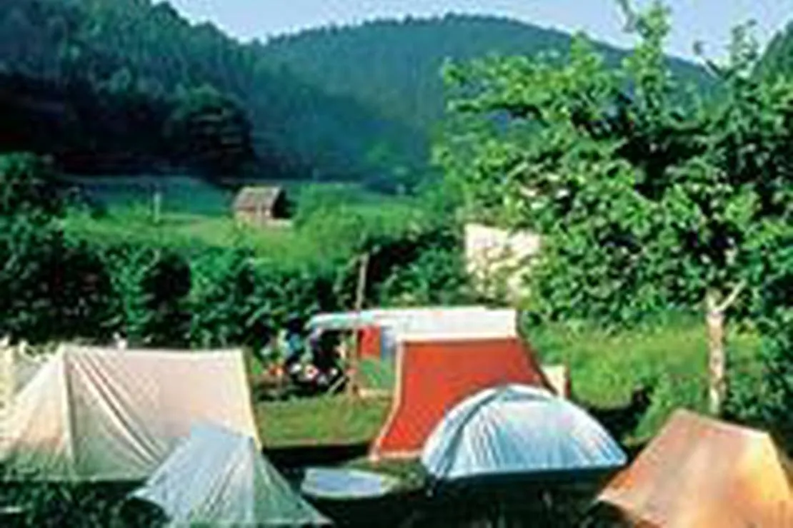 schwarzwald-camping-fautsburg-bad-wildbad-kalbermuhle-v0cvf