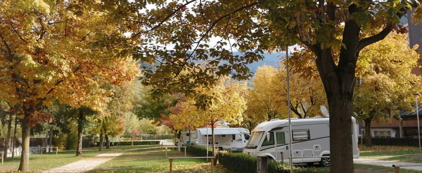 Löwenhof