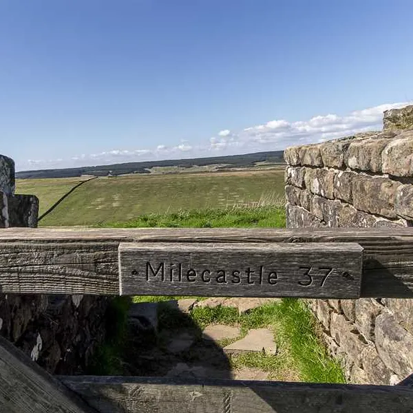 herding-hill-farm-haltwhistle-qdnoo
