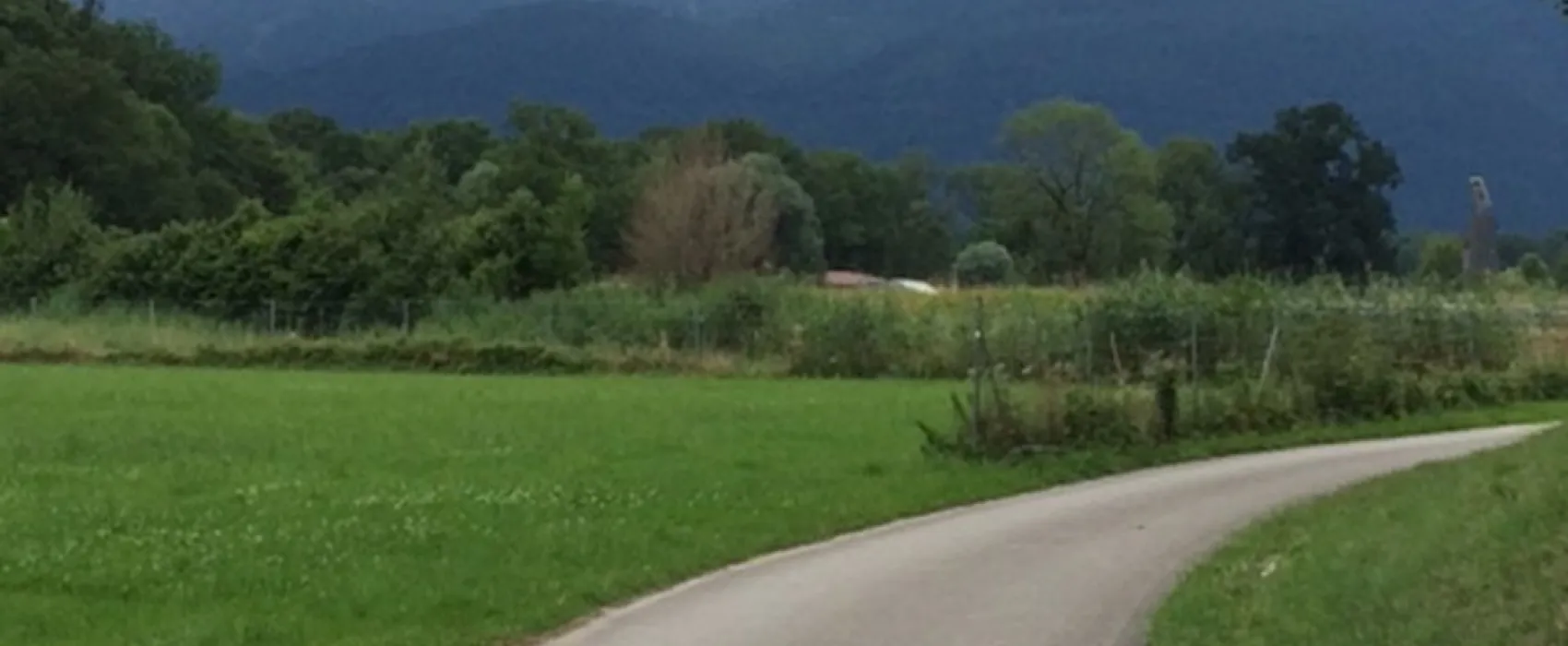Chiemsee Rödlgries