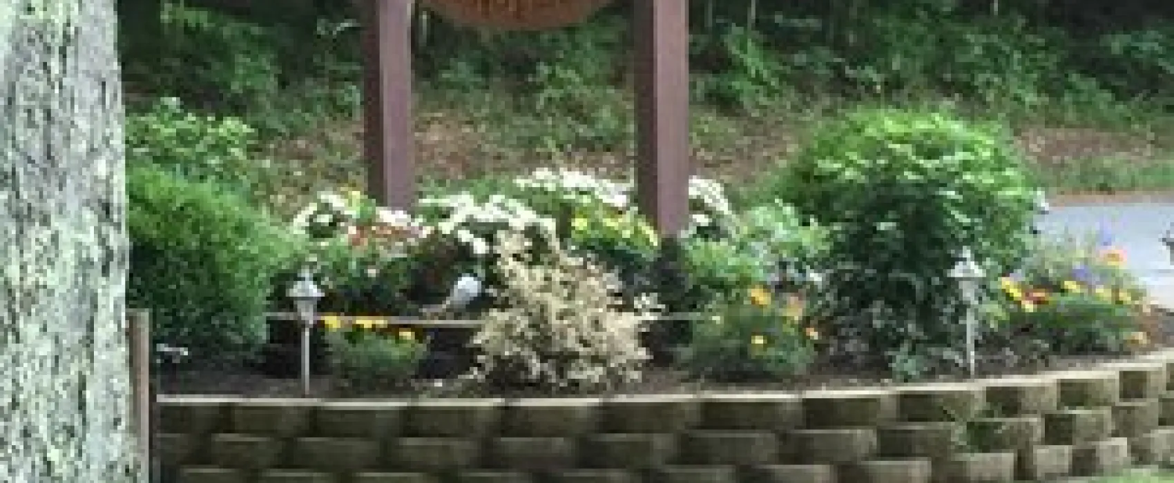Partridge Hollow Campground