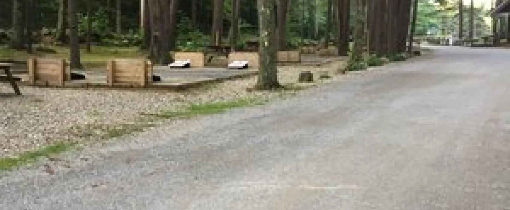 Partridge Hollow Campground