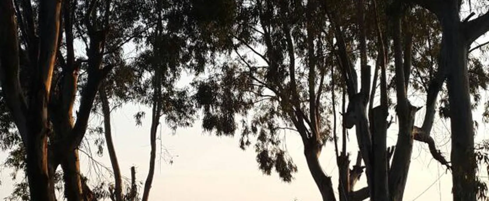 Camping Altinkum