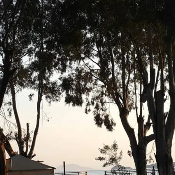 Camping Altinkum
