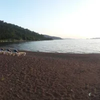 camping-altinkum-marmaris-mugla-flgto