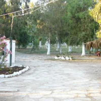 camping-altinkum-marmaris-mugla-tgfwo