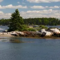 gray-homestead-oceanfront-camping-southport-e035p