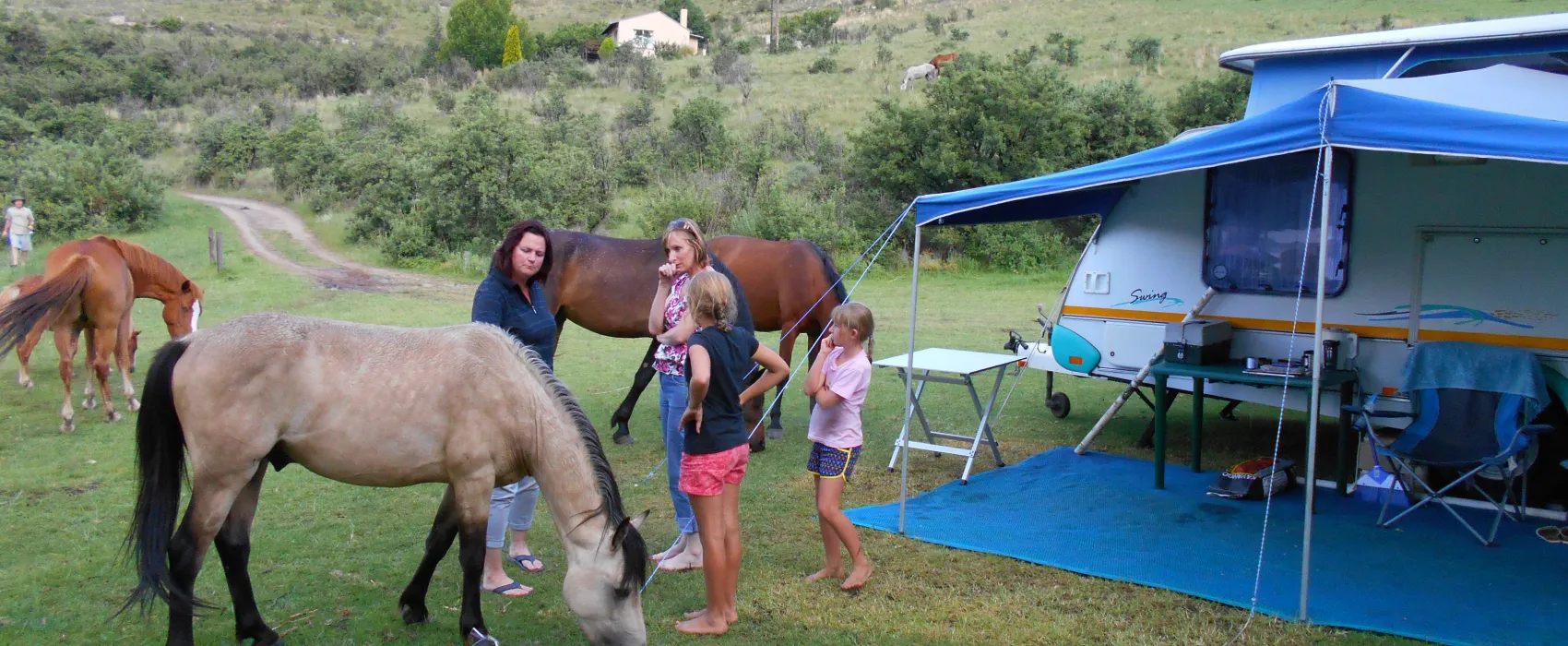 Di Bus Stop Guestfarm & Adventures