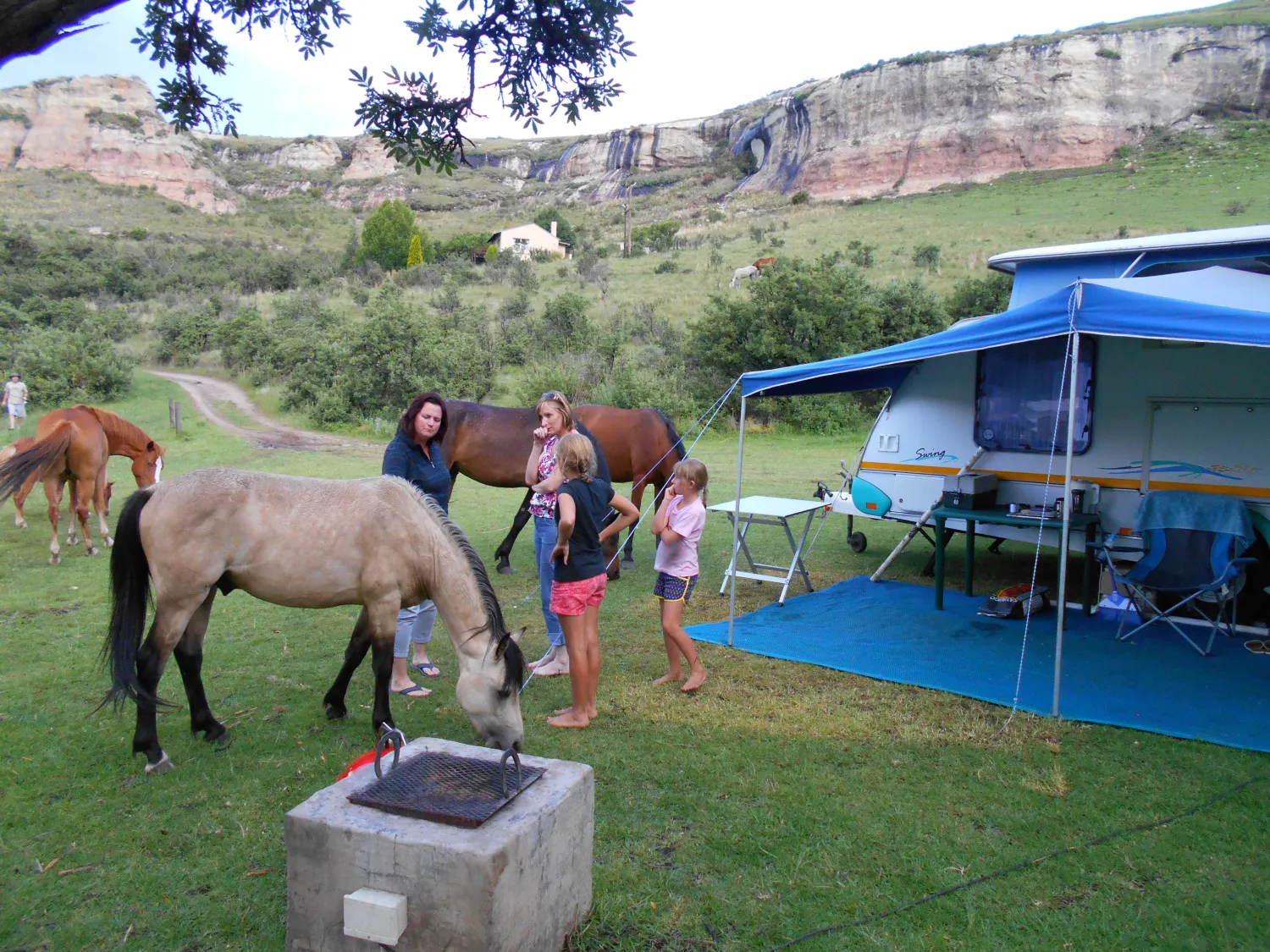 di-bus-stop-guestfarm-adventures-43bsk