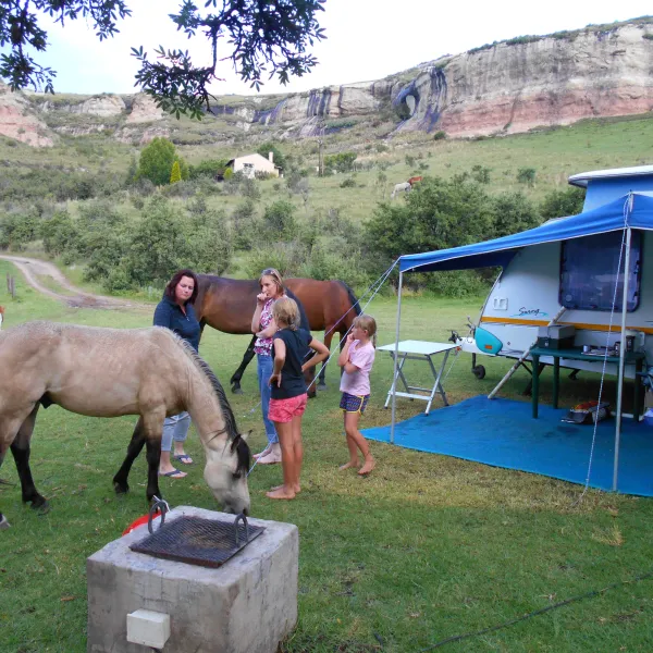 di-bus-stop-guestfarm-adventures-43bsk