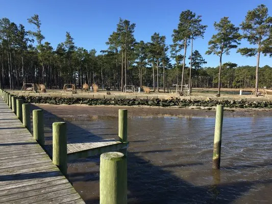 tall-pines-harbor-waterfront-campground-temperanceville-vjuza