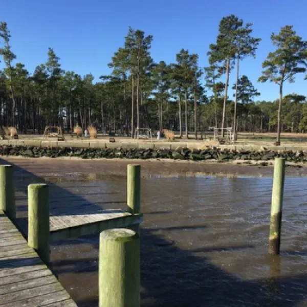 tall-pines-harbor-waterfront-campground-temperanceville-vjuza