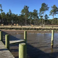 tall-pines-harbor-waterfront-campground-temperanceville-vjuza
