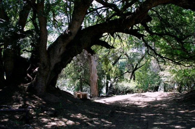 stevensford-game-reserve-favco