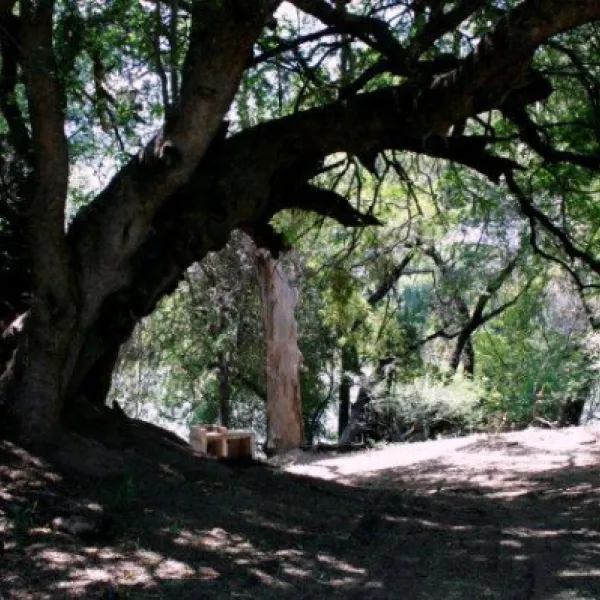 stevensford-game-reserve-favco