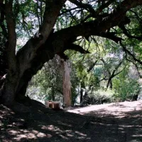 stevensford-game-reserve-favco