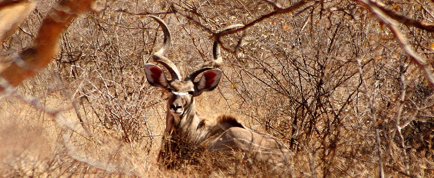Stevensford Game Reserve