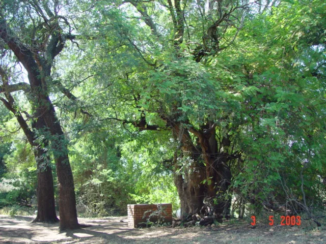 stevensford-game-reserve-shodn