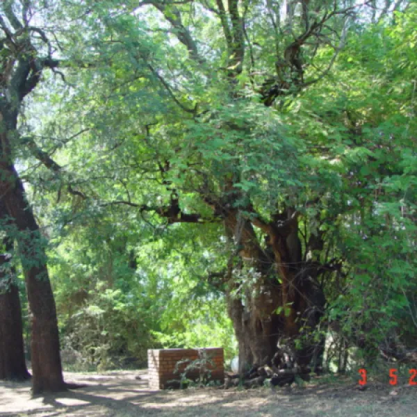 stevensford-game-reserve-shodn
