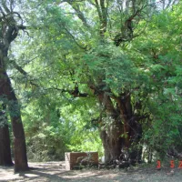 stevensford-game-reserve-shodn
