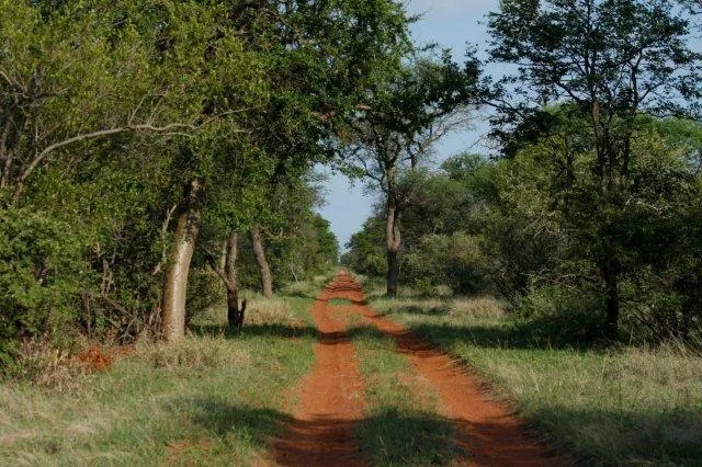 stevensford-game-reserve-uer1e