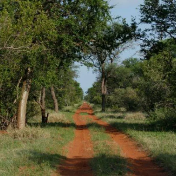 stevensford-game-reserve-uer1e