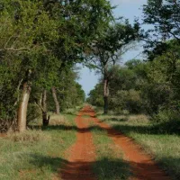 stevensford-game-reserve-uer1e