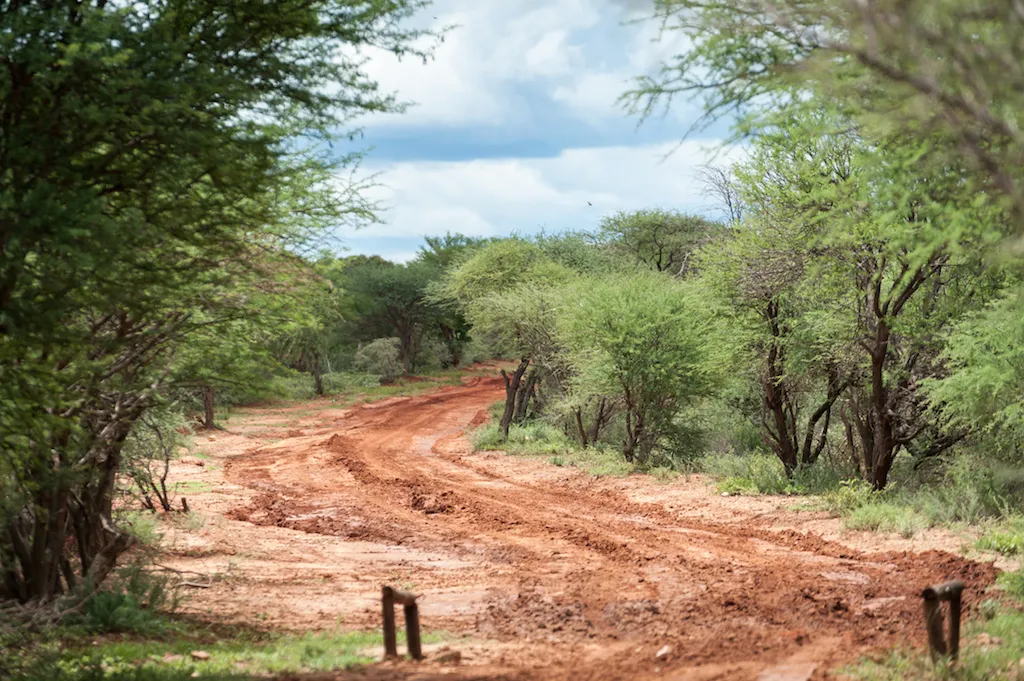 stevensford-game-reserve-vgosc