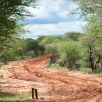 stevensford-game-reserve-vgosc