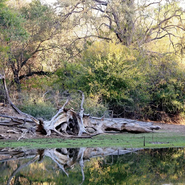 stevensford-game-reserve-xun63