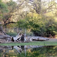 stevensford-game-reserve-xun63