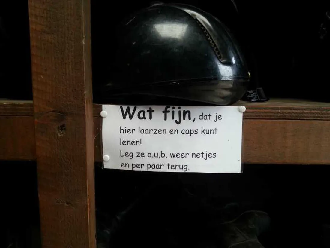 manege-knollegruun-schoonloo-chium