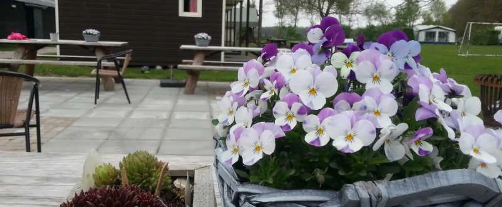 Manege Knollegruun