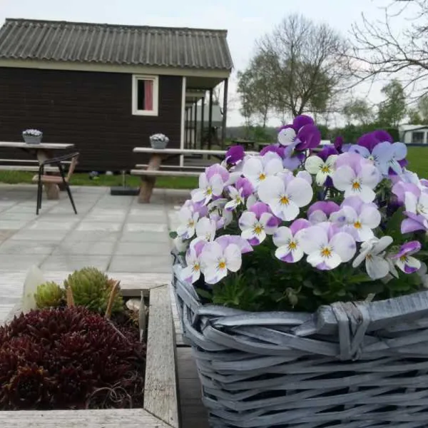 manege-knollegruun-schoonloo-kowbi