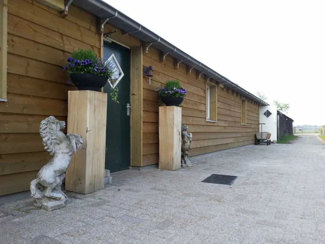 manege-knollegruun-schoonloo-tvpdc