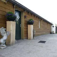 manege-knollegruun-schoonloo-tvpdc